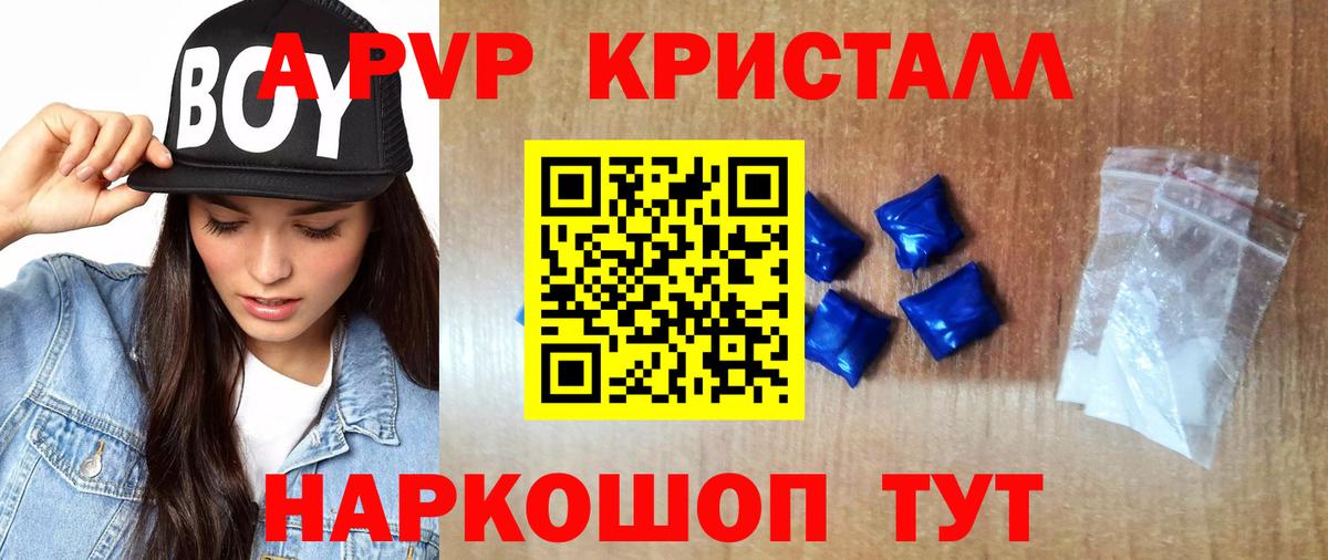 Alfa_PVP СК  А ПВП СК КРИС  Вход с VPN  Брянск 