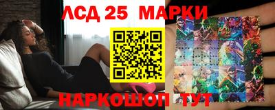 прущие грибы Апшеронск