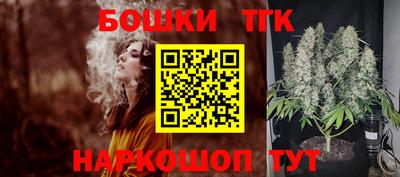 прущие крисы Аргун