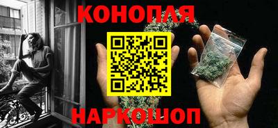 прущие грибы Апшеронск