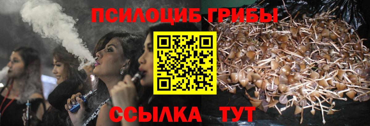 купить   Вход с VPN  Псилоцибиновые грибы мицелий  Брянск  Галлюциногенные грибы Magic Shrooms 